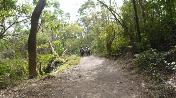 四訪火炎山登山健行趣(小百岳35號)1585030