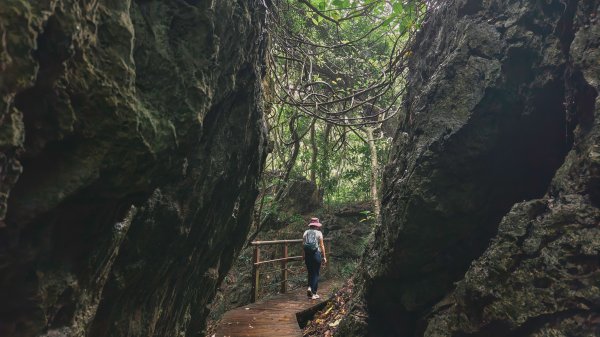 【台灣健行】壽山國家自然公園2664217