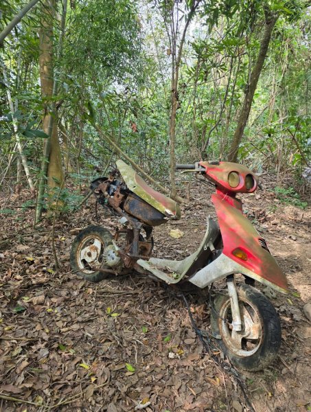 林牛山+聚興山2709939