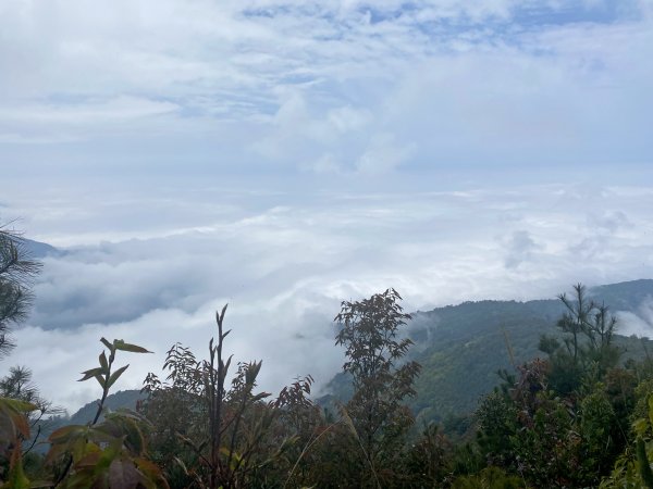 終於登上百志興保山順撿永安山    2021/4/191356989