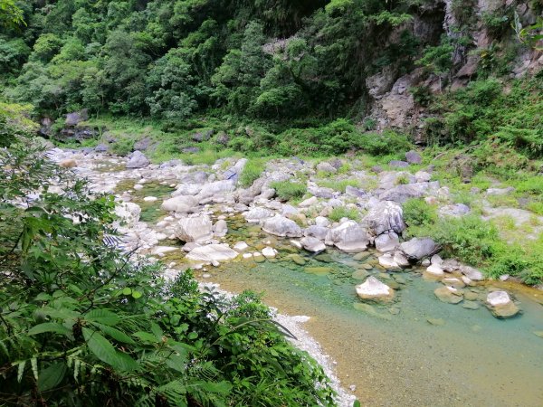 花蓮秀林~峻秀峽谷山水石壁畫~砂卡礑步道1039799