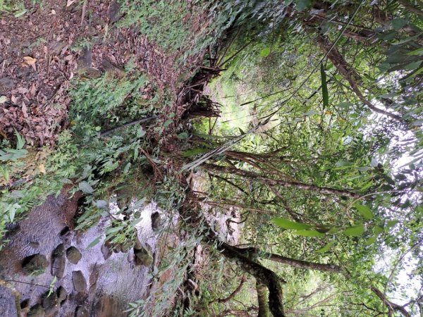 淡蘭中路第四段：威惠廟到灣潭古道登山口3104482