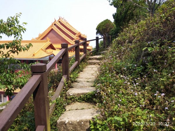 步道巡訪員 l 崁頭山步道884614