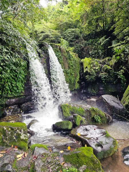 2026年臺北大縱走第七段：世界山莊至飛龍步道政大後山3032046