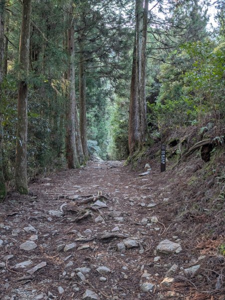 觀霧國家森林遊樂區和包場的榛山三角點2724169