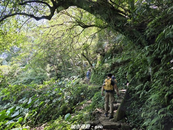 【桃園大溪】溪洲山步道(福山巖登山步道)3057141