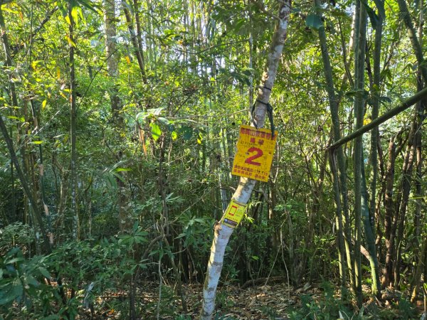 水雲三星～上島山（鳥嘴山）2931225
