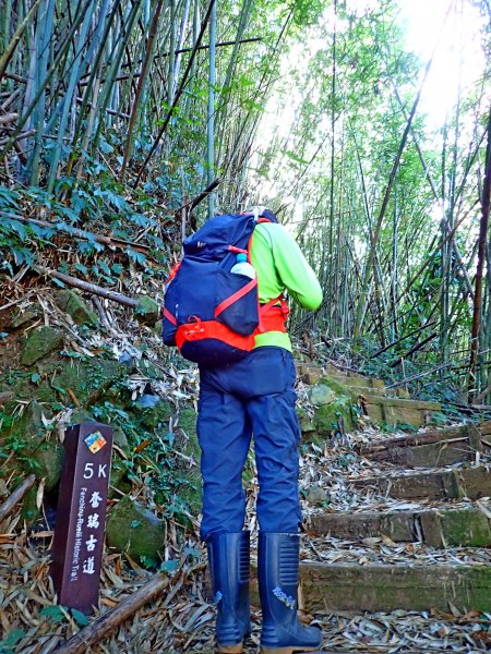 竹林饗宴--瑞太古道登雲戴山順走九芎坪山493571