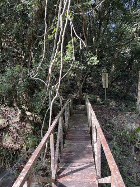 蝶夢八唐搜尋失蹤者 2025.11.252954292