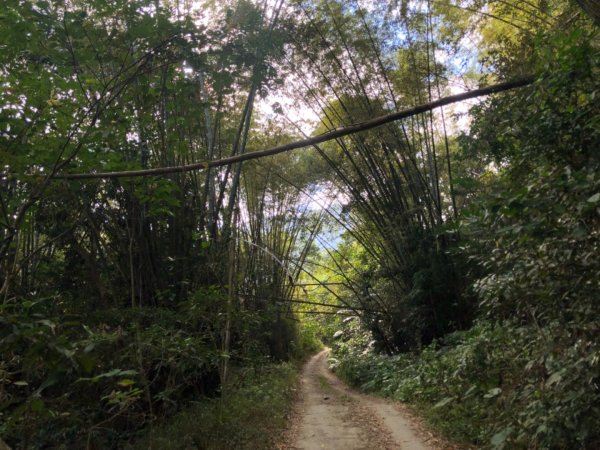 高雄市甲仙區小百岳69號白雲山（廓亭山）一等三角點及一等衛星控制點1984393