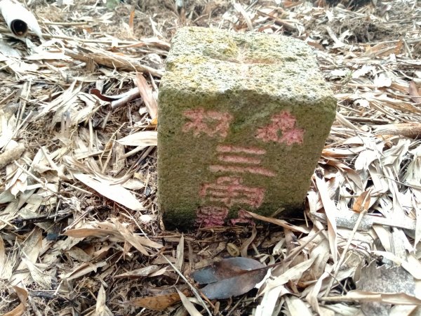 20220226台中和平尾文坑山、三叉坑山、穿龍山、大湖桶山基石1619044