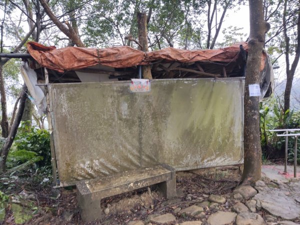 微笑山線：【天上山系】望月亭桐花段3001587