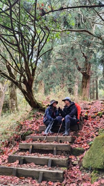 神阿縱走~台灣難抵極~大塔山2971479