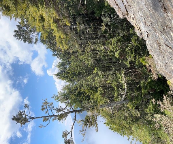 25/04/11羊頭山單攻2760077