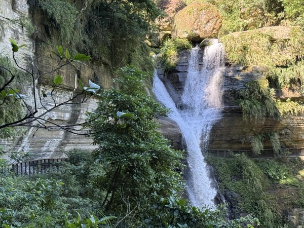 竹坑溪步道 202506282827153