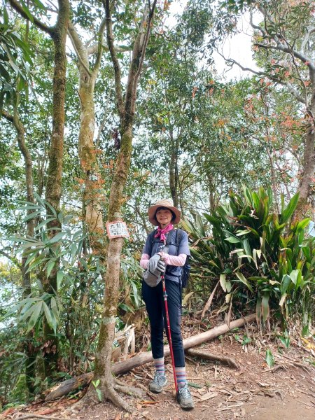 【台南白河】雞籠山+九龍山+大凍山O繞縱走2797148