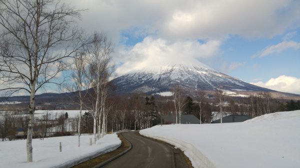 【日本-北海道】新雪谷安努普利/羊蹄山789472