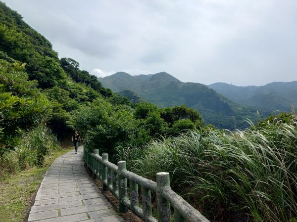 茶壺山步道, 燦光寮山,黃金神社 330383