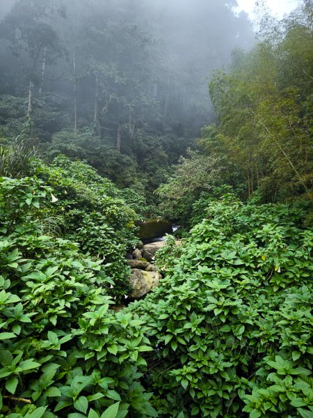 2025-09-14 奮起湖2887440