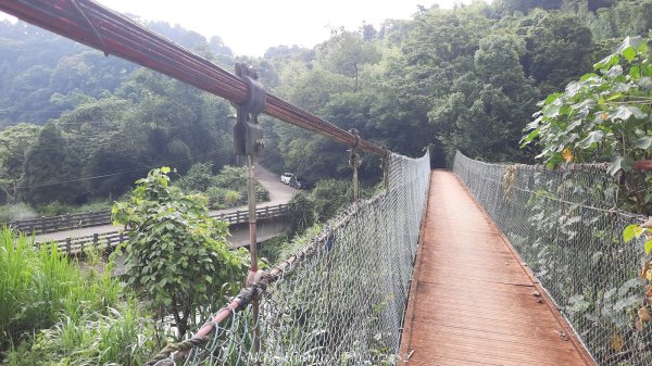 《台中》優美稜線｜橫嶺山自然步道（大雪山社區南登山口）202505312800264