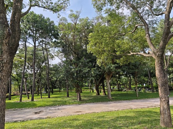 [霄裡好風光，運動樂悠遊！-6/10] 2025_0608 大湳森林公園2808212