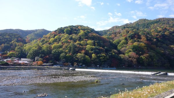 日本京都嵐山651824