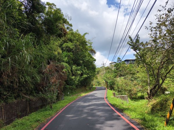 [百山百鳥尋旅-06/15] 2025_0830 貓囒山步道2875701