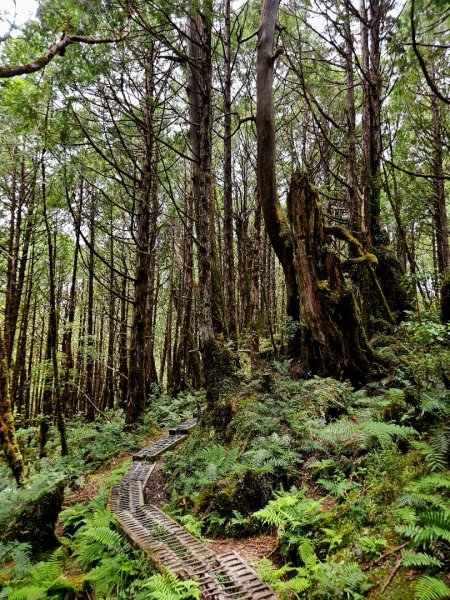 翠峰湖環山步道-(宜蘭)臺灣百大必訪步道2827555