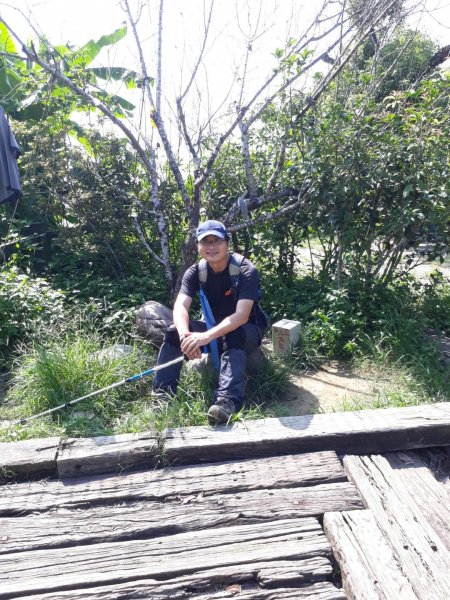 台中太平三汀山步道20190615610594