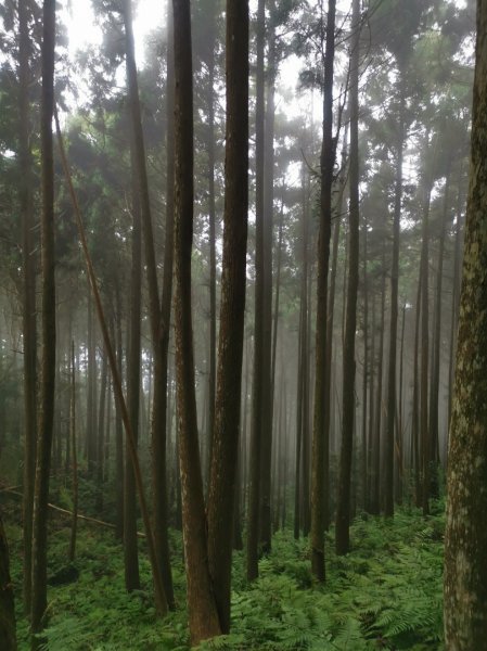 油羅山O 型1進2出678187