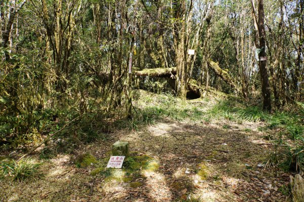 新北 烏來 波露山3000697