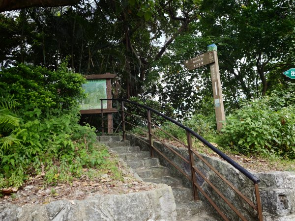 [淡蘭古道] 2026_0523 南路第一段_糶米古道3069488