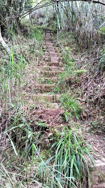 20230622 苗栗-雪見 東洗水山及北坑山 走走2193079