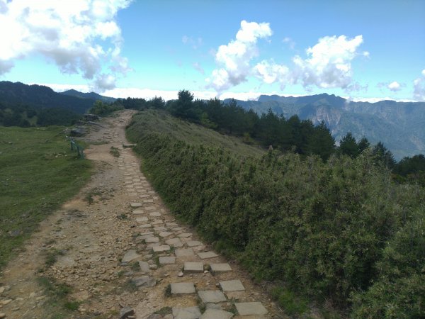 2022-07-21 塔塔加一日遊(麟趾山、鹿林山)1771450