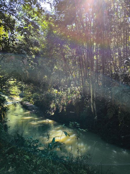 2024-08-22 澀水森林步道2578394