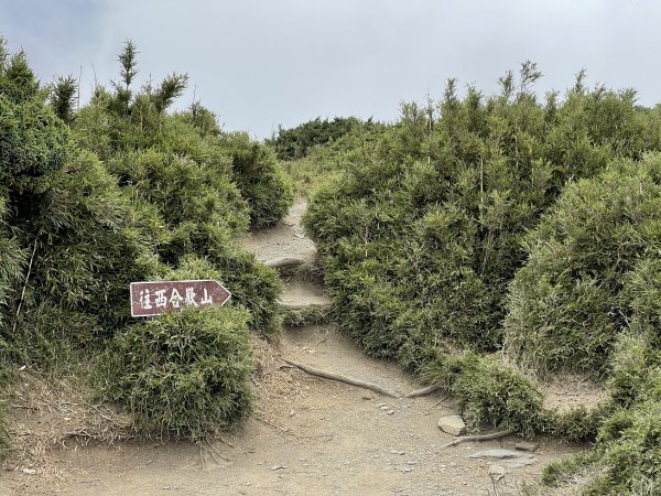 合歡山群峰1809110