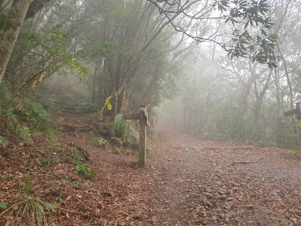 李崠山馬望僧侶山O型+烏來山1583423