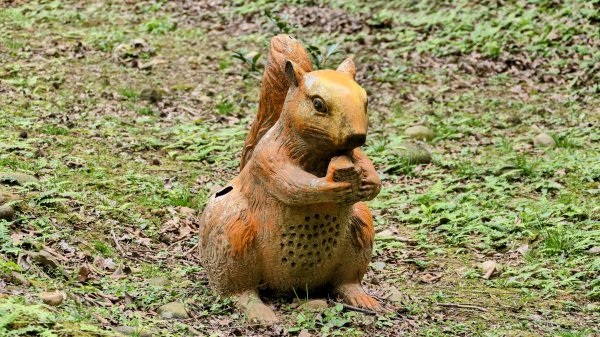 楊梅保甲古道,福人登山步道2695958