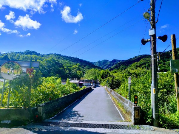 【平溪 】季節限定的朝聖之旅，豔紅鹿子百合綻放1806110