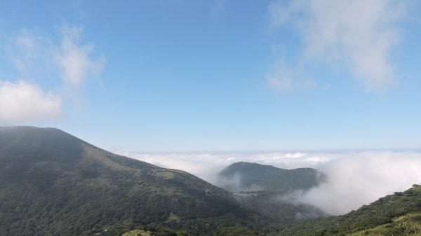 再見陽明山雲海1178661