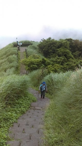 翻山越嶺賞花趣～586508