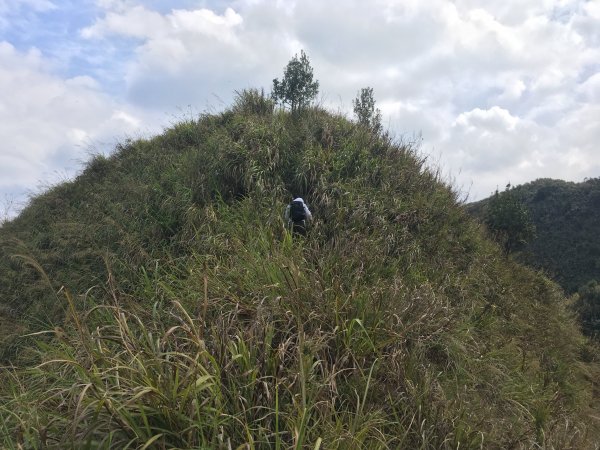 霧峰桐林山(701峰)登山照片858473