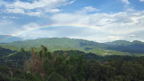 台中大坑頭嵙山（大冠鷲／木蜂／五色鳥／血藤花／鳳凰花）2796629