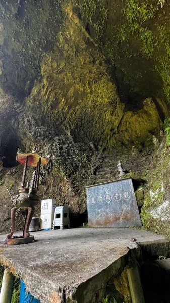 孝子山、普陀山、慈母峰賞鹿子野百合O走2592945