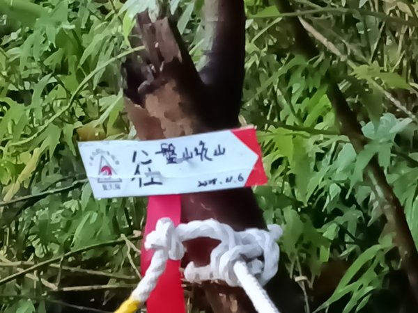 雙溪區雙坪一號橋+盤山坑山+土地公山+474峰+石硿子越嶺古道O型2936389