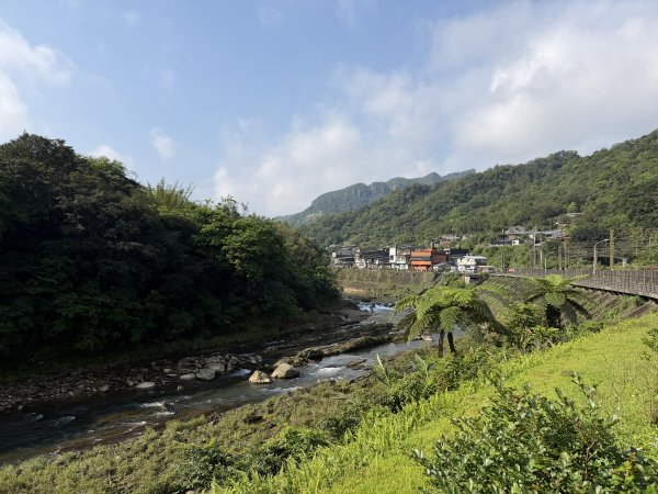 2026_0412 鐘萼木賞花 - 淡蘭國寶樹3035276