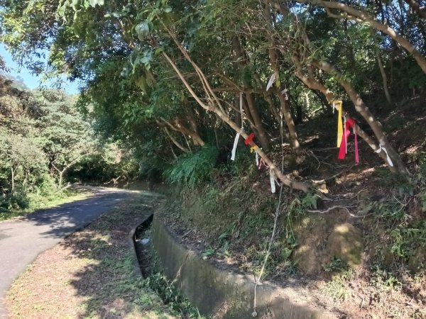 基隆市界寮縱走之七分寮山+友蚋山+印地安頭像+七汐農路O型2967945