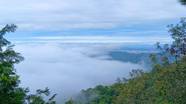 大坑頭嵙山出大景（山嵐海）2144661