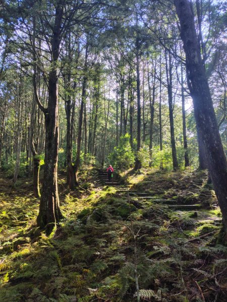 稍來小雪山國家步道、船型山、鞍馬山、鞍馬山東北峰、天池、雪山神木2799840
