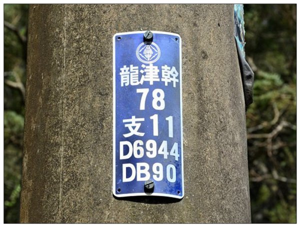 公司寮山 ( 苗栗、後龍 )3006157